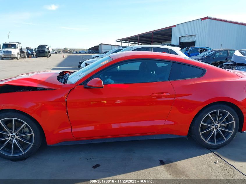 2019 FORD MUSTANG ECOBOOST - 1FA6P8TH7K5135834