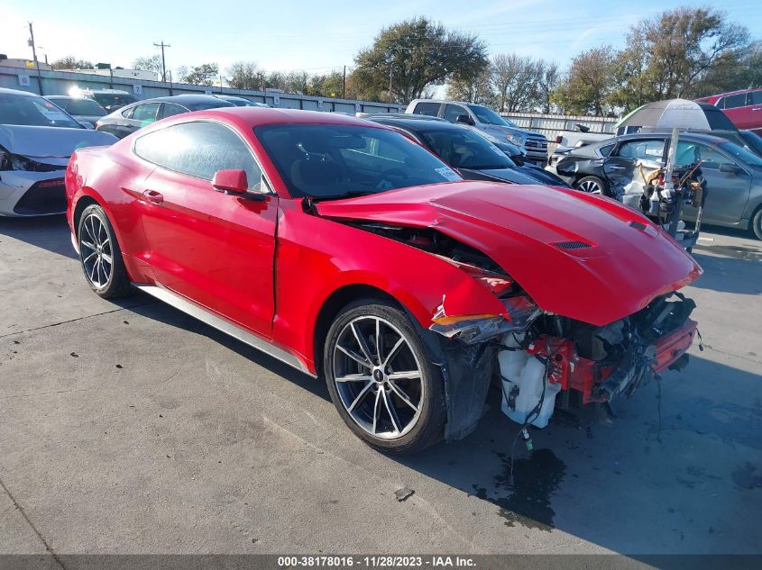 2019 FORD MUSTANG ECOBOOST - 1FA6P8TH7K5135834