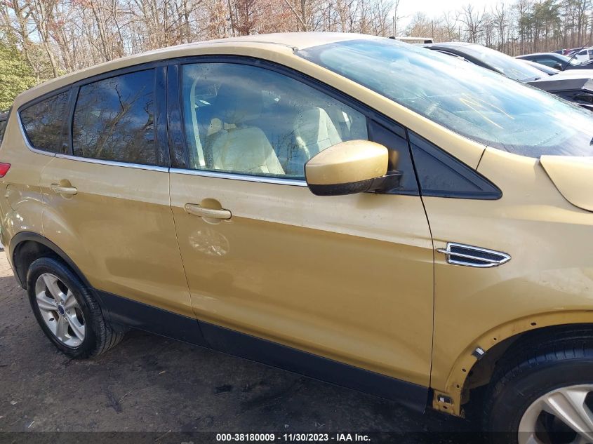 2014 FORD ESCAPE SE - 1FMCU0GX9EUD63607