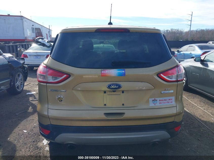 2014 FORD ESCAPE SE - 1FMCU0GX9EUD63607