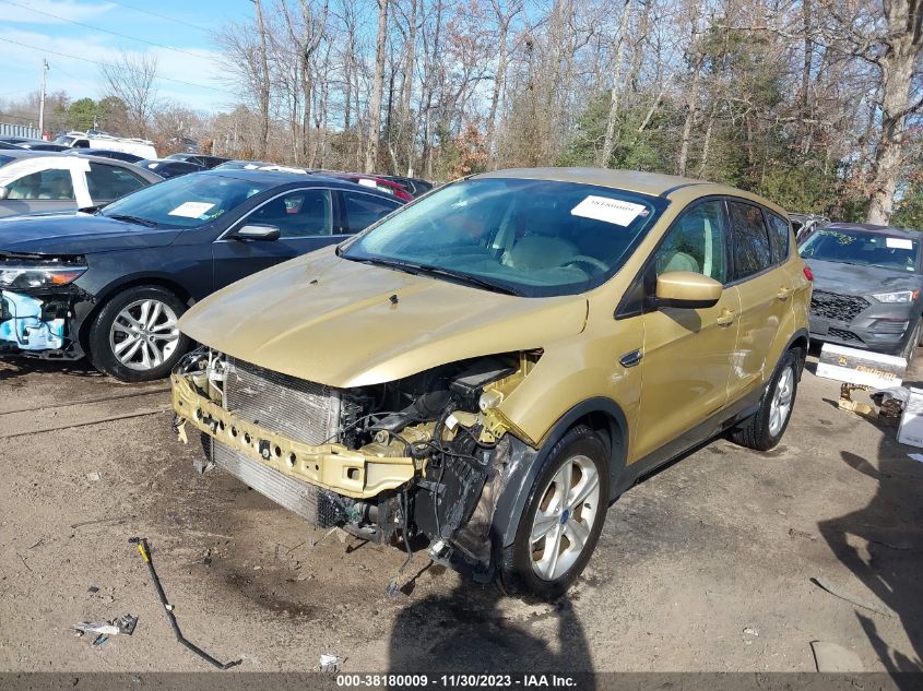 2014 FORD ESCAPE SE - 1FMCU0GX9EUD63607