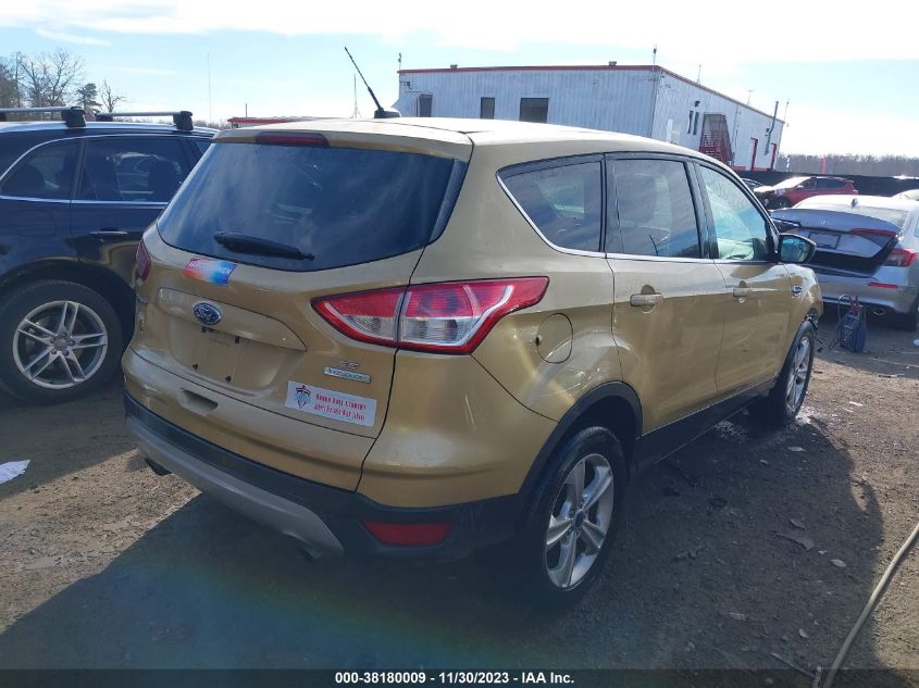 2014 FORD ESCAPE SE - 1FMCU0GX9EUD63607