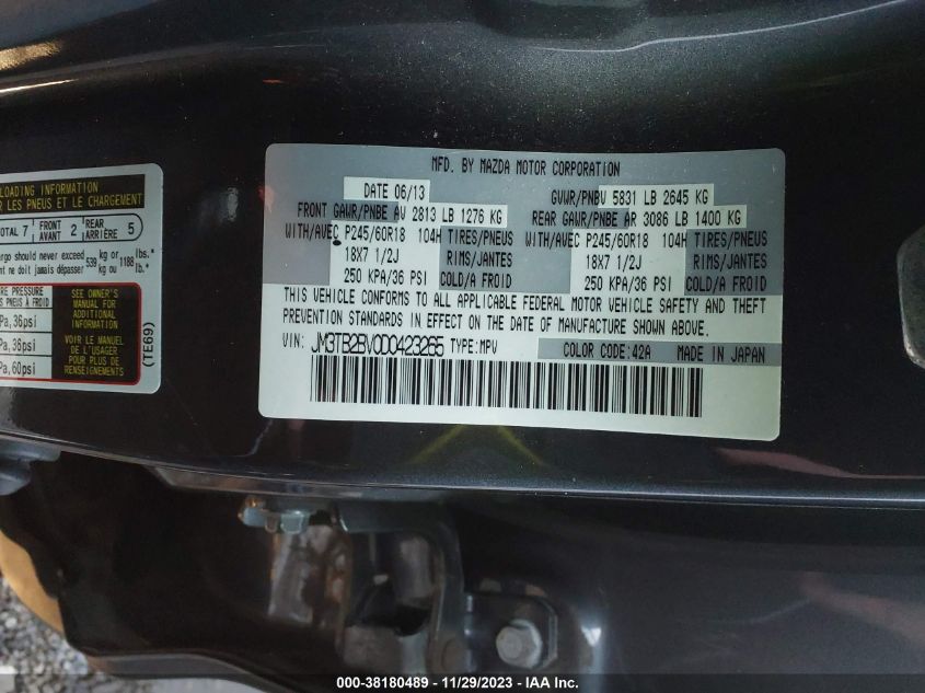 2013 MAZDA CX-9 SPORT - JM3TB2BV0D0423265