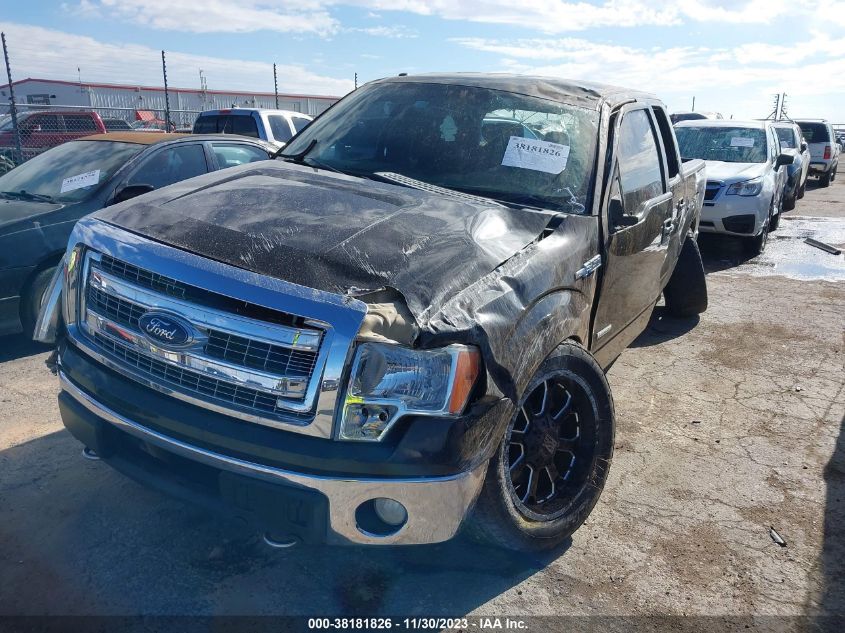 2013 FORD F-150 XLT - 1FTFW1ET4DKD89186