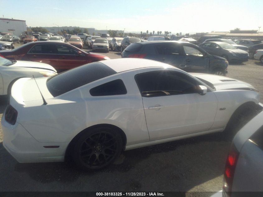 2014 FORD MUSTANG GT - 1ZVBP8CF0E5333308