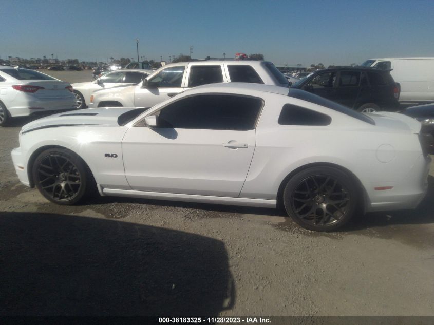 2014 FORD MUSTANG GT - 1ZVBP8CF0E5333308