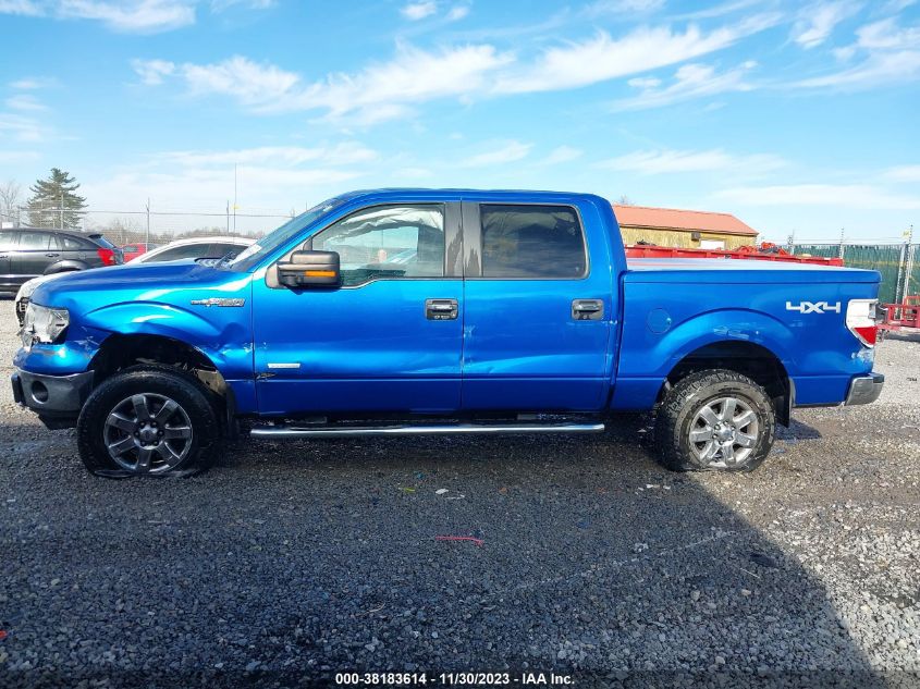 2013 FORD F-150 XLT - 1FTFW1ET6DFD47224