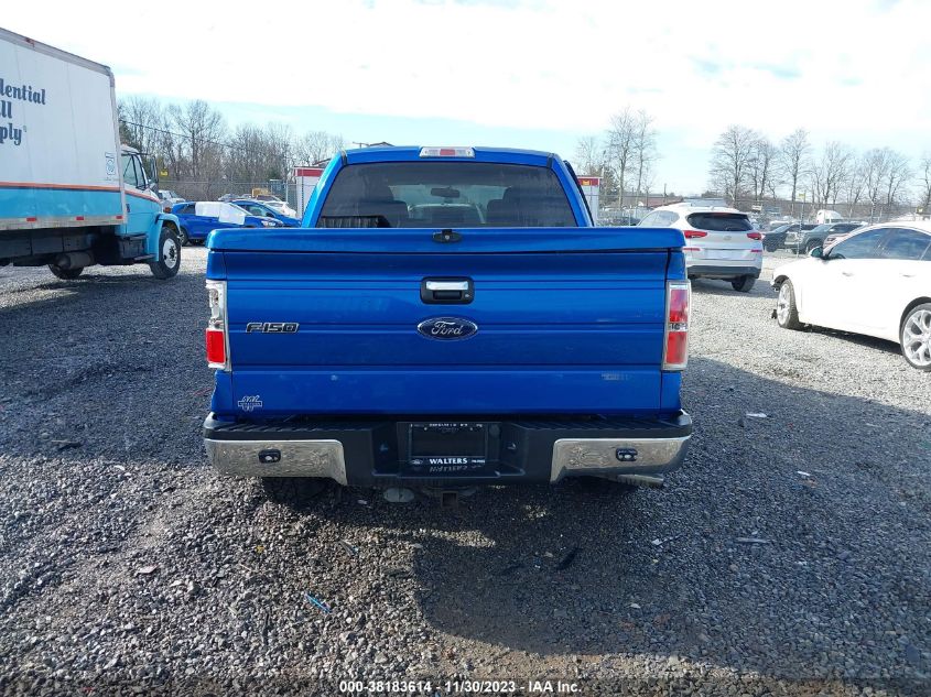 2013 FORD F-150 XLT - 1FTFW1ET6DFD47224