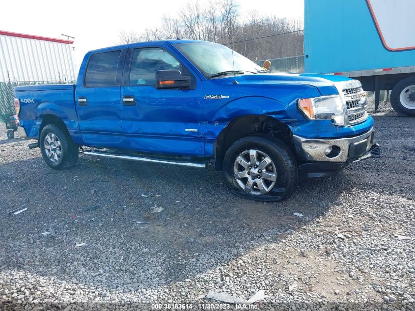 2013 FORD F-150 XLT - 1FTFW1ET6DFD47224