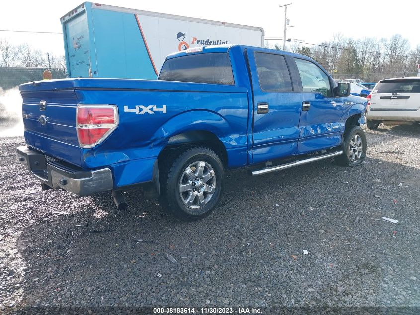 2013 FORD F-150 XLT - 1FTFW1ET6DFD47224