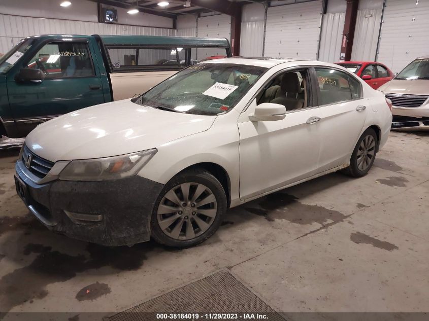 2013 HONDA ACCORD EX - 1HGCR2F79DA067118