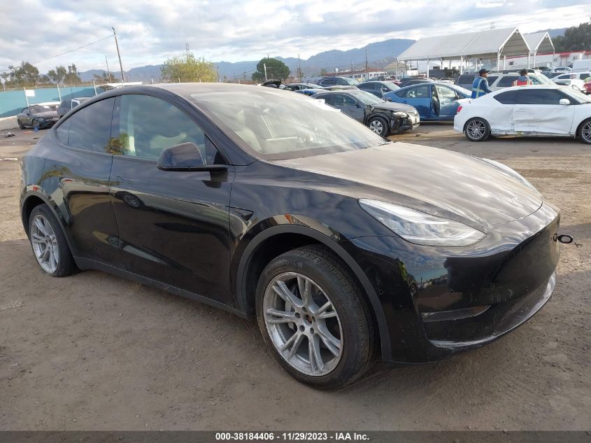 2021 TESLA MODEL Y - 5YJYGDEE5MF207713