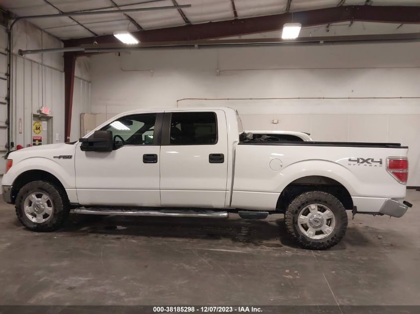 2013 FORD F-150 XLT - 1FTFW1EF3DKF99658