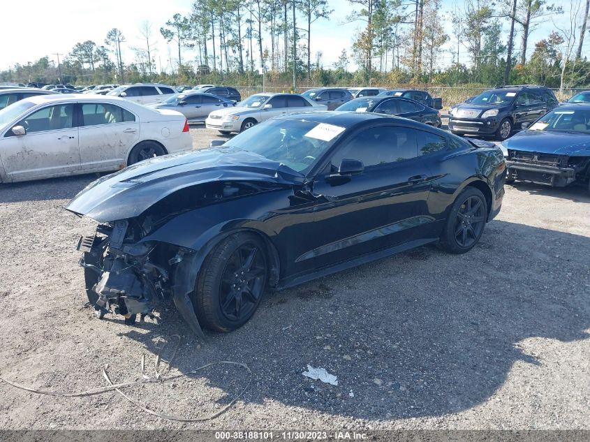 1FA6P8THXK5201096 | 2019 FORD MUSTANG