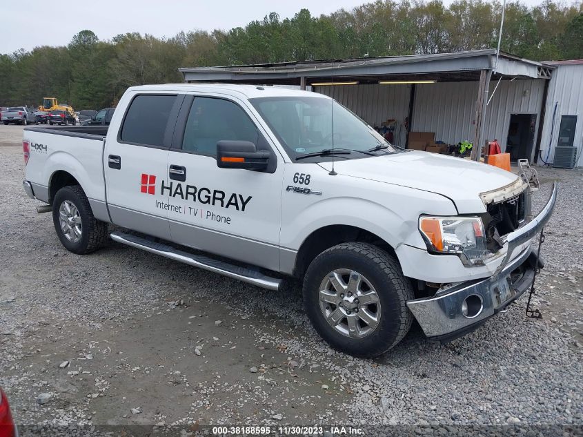 2013 FORD F-150 XLT - 1FTFW1EF4DKD19262