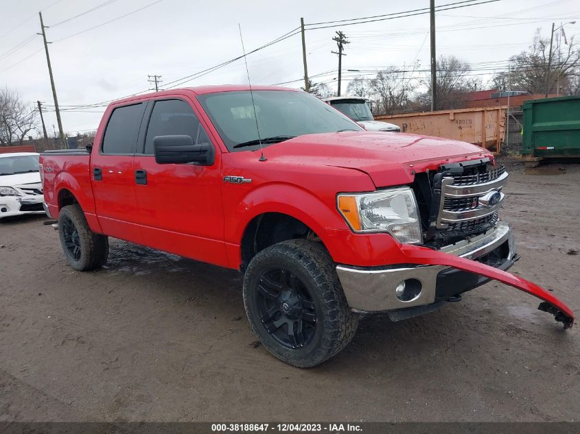 2014 FORD F-150 XLT - 1FTFW1EF5EKD12063