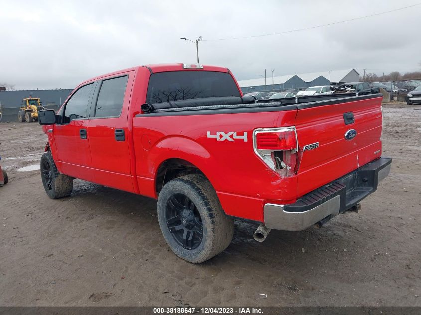 2014 FORD F-150 XLT - 1FTFW1EF5EKD12063