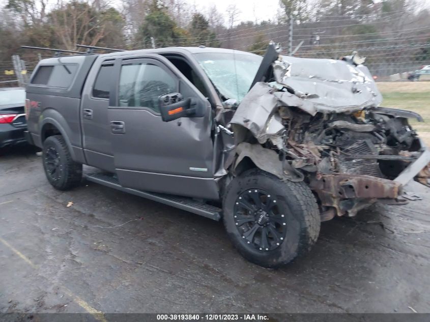 2014 FORD F-150 FX4 - 1FTFW1ET6EKE97343