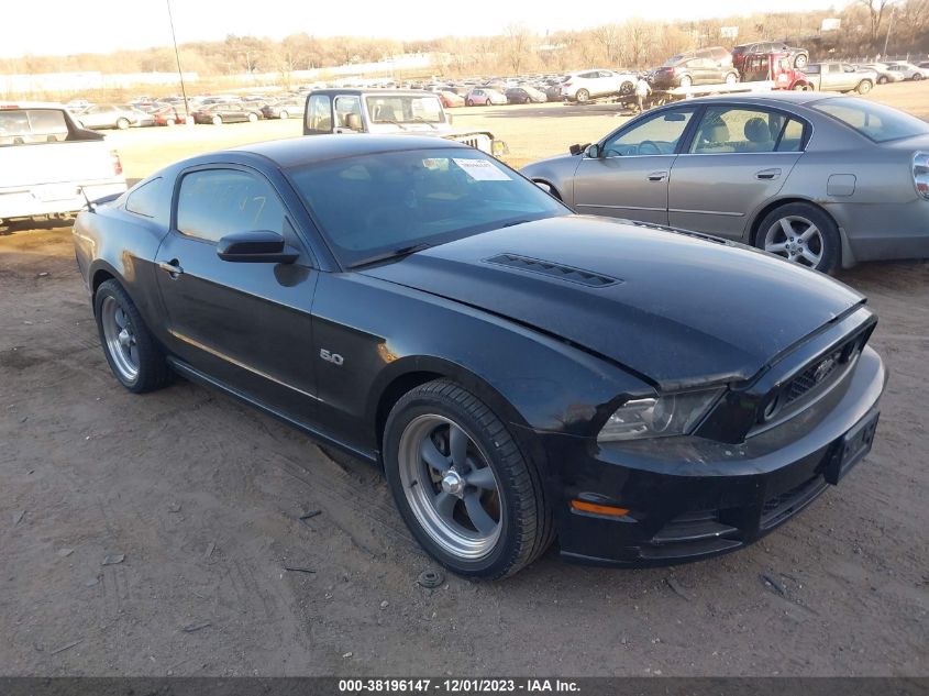 2013 FORD MUSTANG GT - 1ZVBP8CF1D5262179