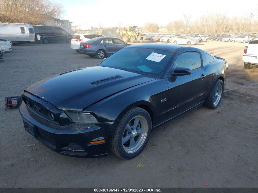 2013 FORD MUSTANG GT - 1ZVBP8CF1D5262179