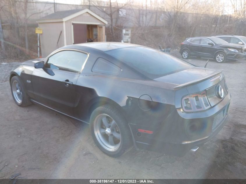 2013 FORD MUSTANG GT - 1ZVBP8CF1D5262179