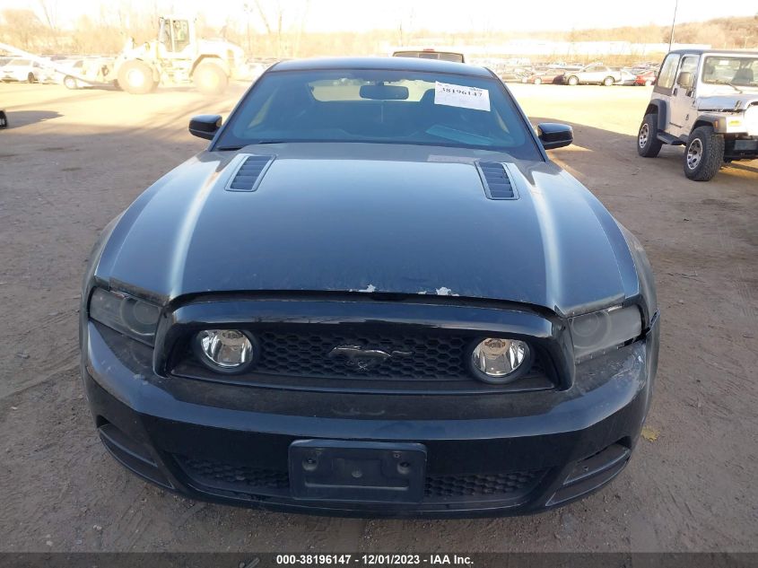 2013 FORD MUSTANG GT - 1ZVBP8CF1D5262179