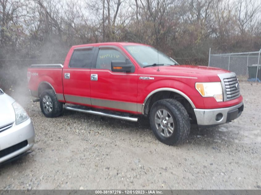 1FTFW1EVXAFD16880 | 2010 FORD F-150