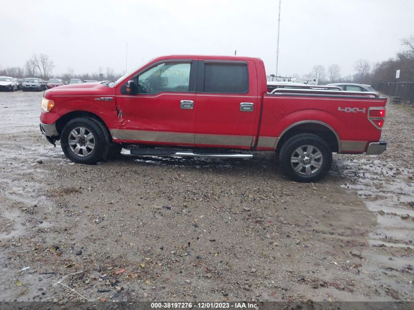 1FTFW1EVXAFD16880 | 2010 FORD F-150