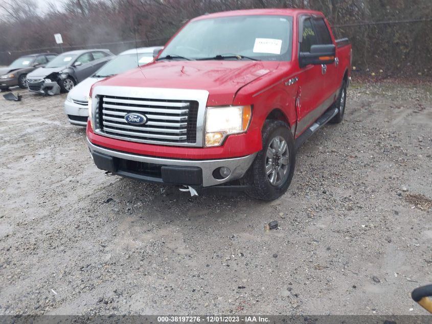 1FTFW1EVXAFD16880 | 2010 FORD F-150