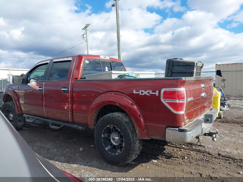 2014 FORD F-150 XLT - 1FTFW1ET3EKE05380