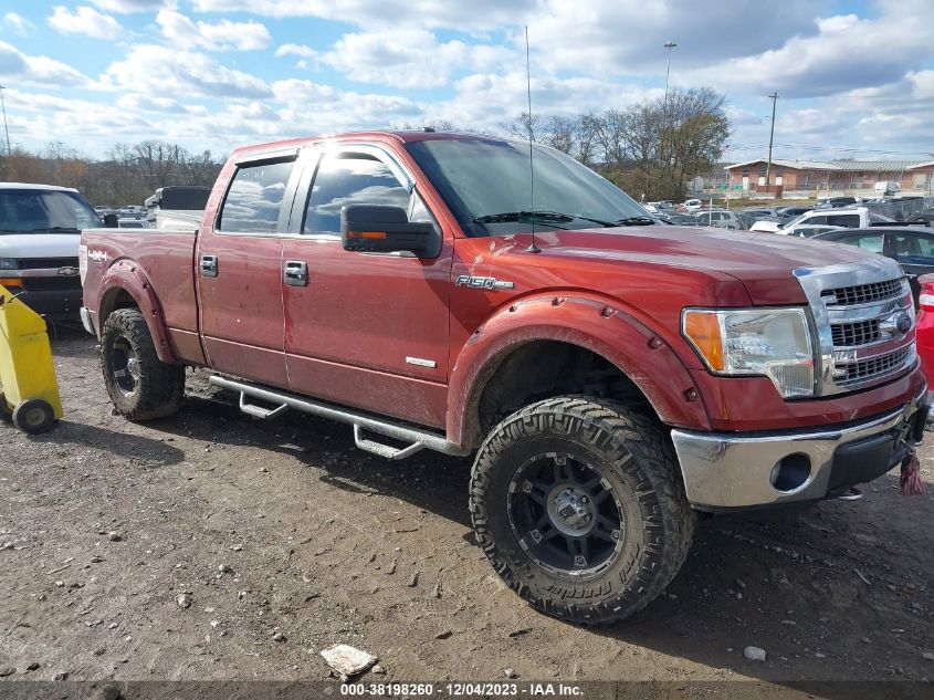 2014 FORD F-150 XLT - 1FTFW1ET3EKE05380