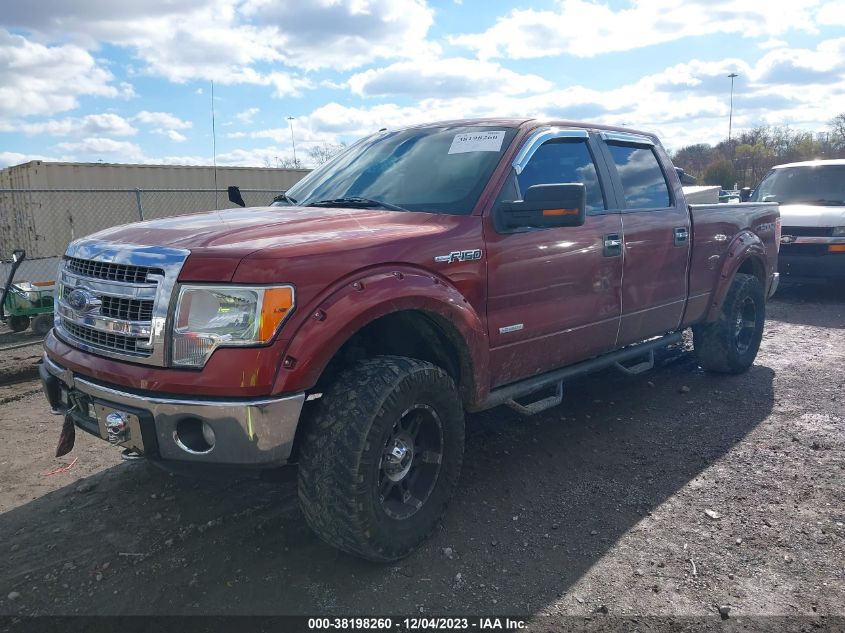 2014 FORD F-150 XLT - 1FTFW1ET3EKE05380