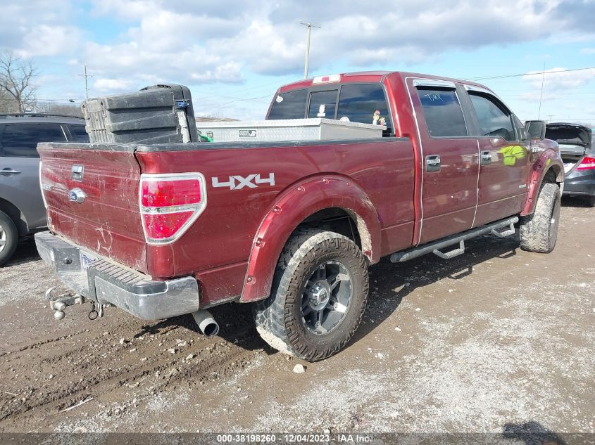 2014 FORD F-150 XLT - 1FTFW1ET3EKE05380