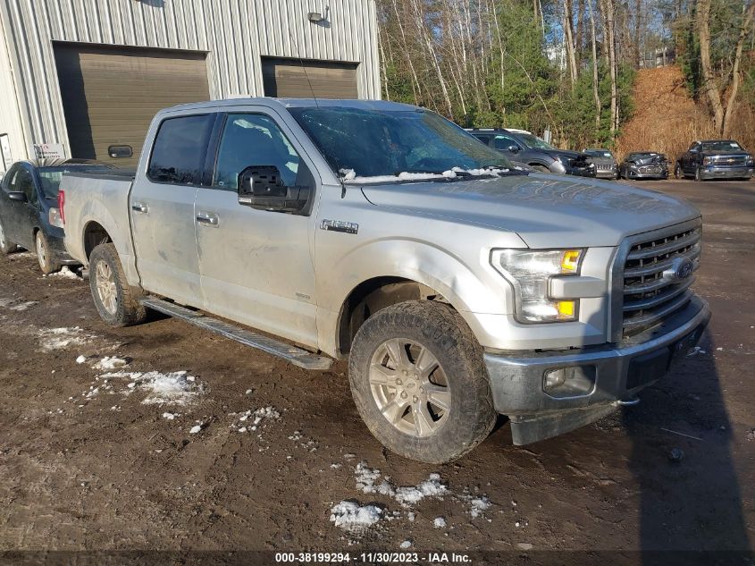 2017 FORD F-150 XLT - 1FTEW1EG6HKC99204