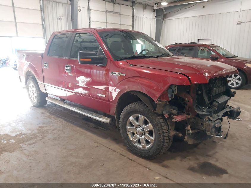 2014 FORD F-150 XLT - 1FTFW1ET8EFC34053