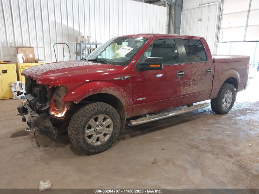 2014 FORD F-150 XLT - 1FTFW1ET8EFC34053