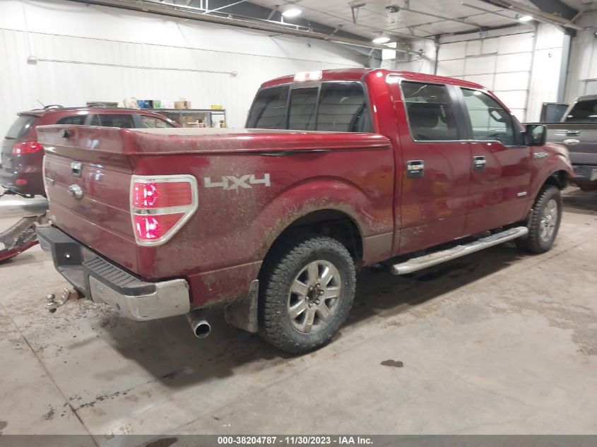 2014 FORD F-150 XLT - 1FTFW1ET8EFC34053