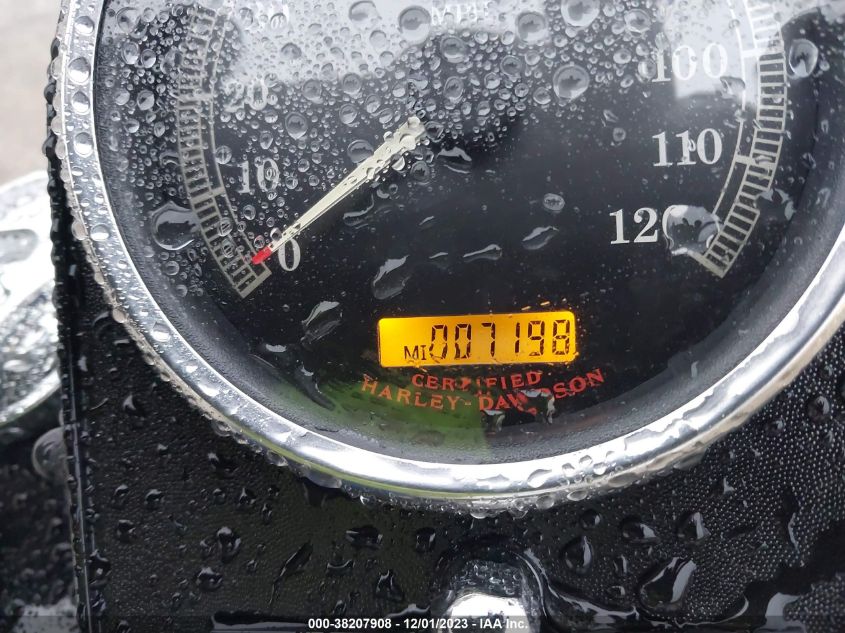 2006 HARLEY-DAVIDSON FXSTBI - 1HD1JAB166Y077932