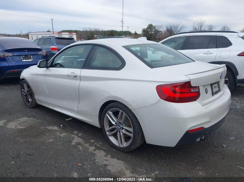 2015 BMW 228I - WBA1F5C53FV256844