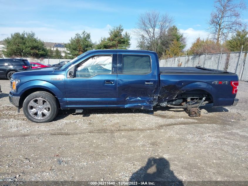 2019 FORD F-150 XLT - 1FTFW1E41KFC28664