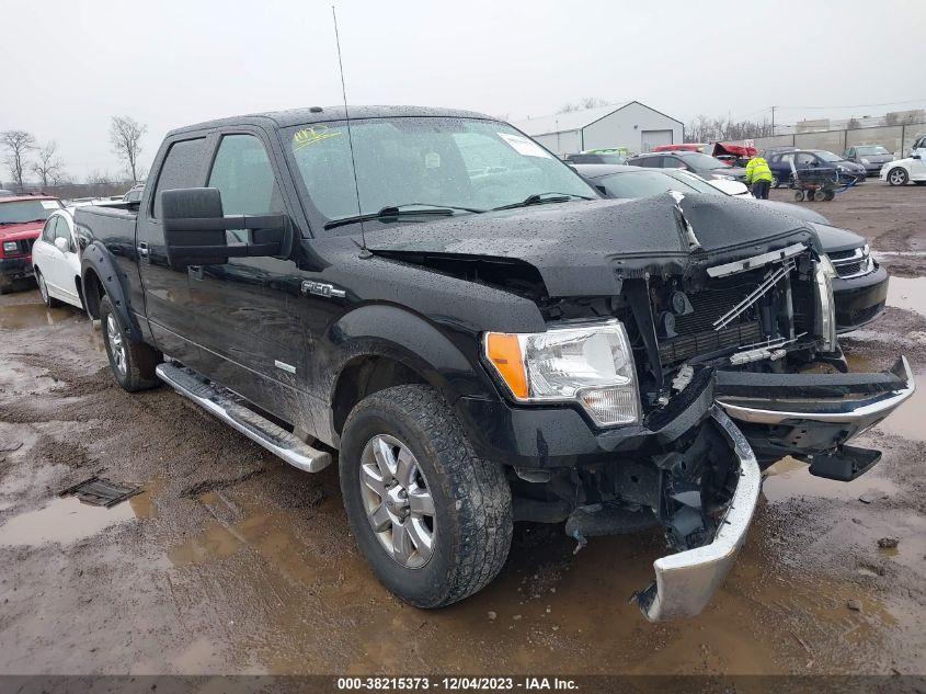 2013 FORD F-150 XLT - 1FTFW1ET4DFD32396