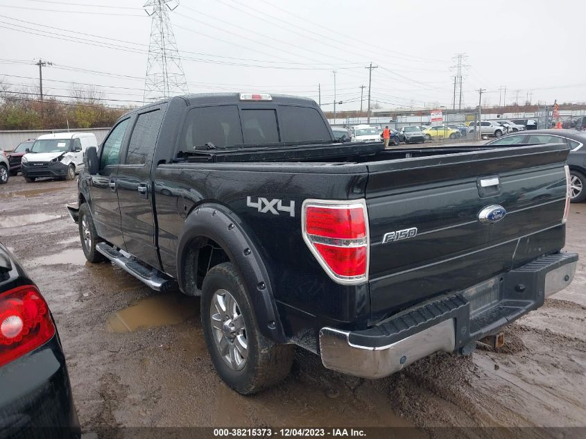 2013 FORD F-150 XLT - 1FTFW1ET4DFD32396