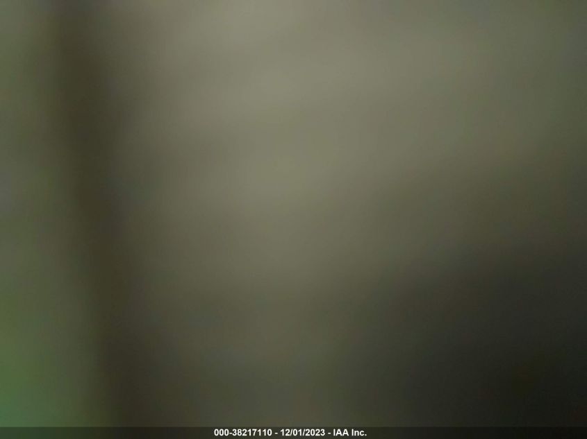 2022 TESLA MODEL Y - 7SAYGDEE2NF437150