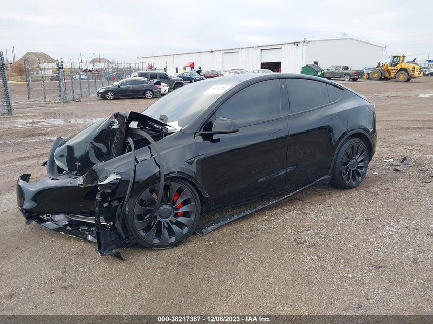 VIN 7SAYGDEF8PF750800 2023 TESLA MODEL Y