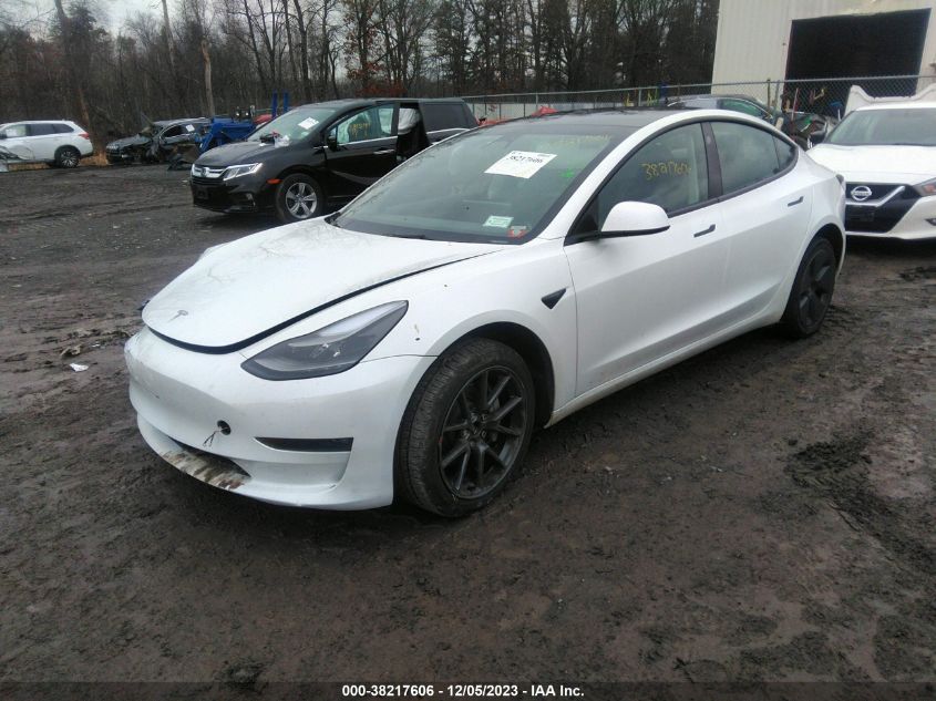 5YJ3E1EB8PF605362 | 2023 TESLA MODEL 3