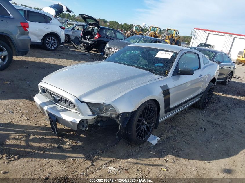 2013 FORD MUSTANG - 1ZVBP8AMXD5244569