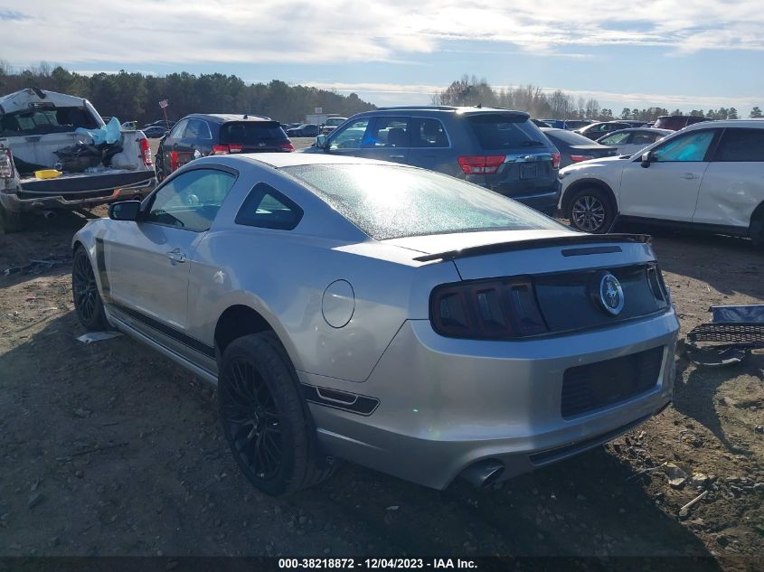 2013 FORD MUSTANG - 1ZVBP8AMXD5244569