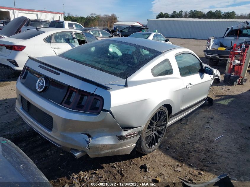 2013 FORD MUSTANG - 1ZVBP8AMXD5244569