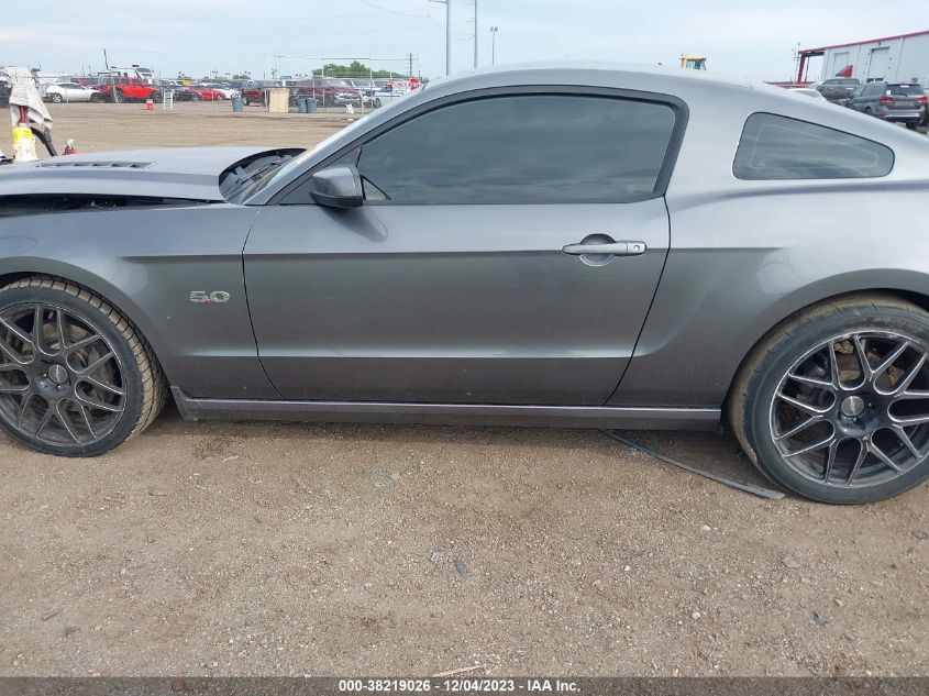 2014 FORD MUSTANG GT - 1ZVBP8CF3E5320682