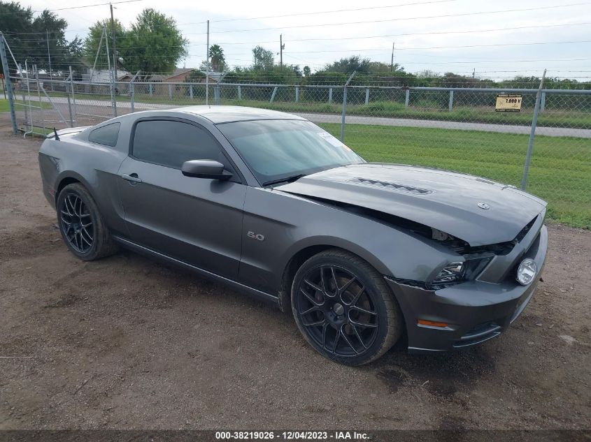 2014 FORD MUSTANG GT - 1ZVBP8CF3E5320682